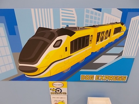 DSCN8615