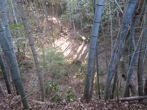 DSCN3171