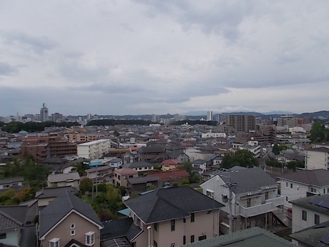 イメージ 7