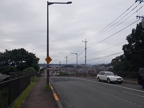 DSCN6522