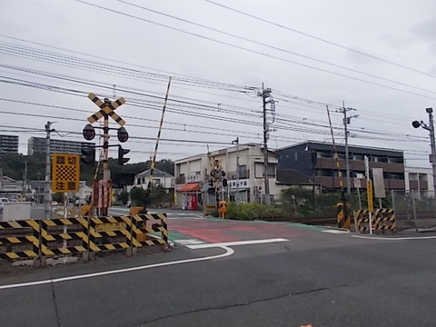 DSCN6590