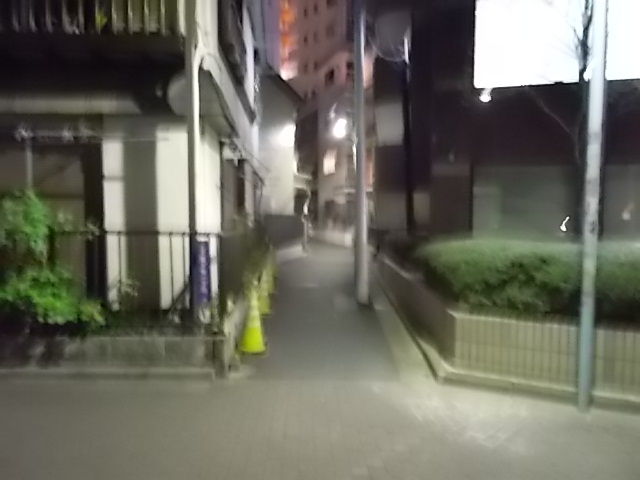 イメージ 5