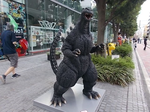 DSCN0329