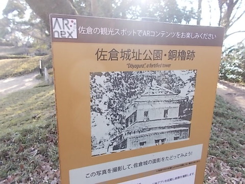 DSCN3178