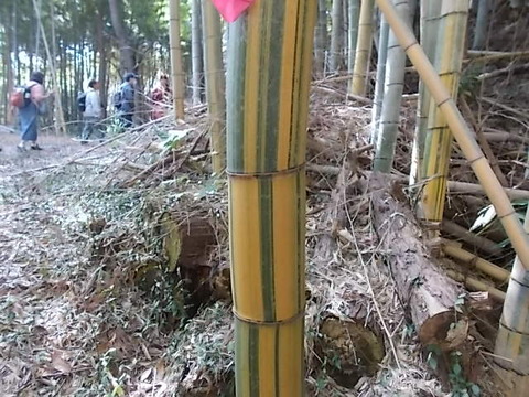 DSCN3058