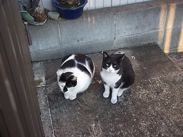 イメージ 4