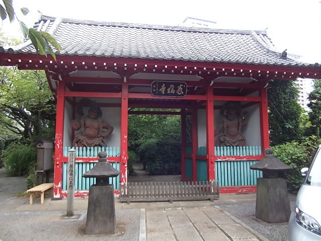 イメージ 7