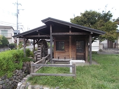 DSCN6691