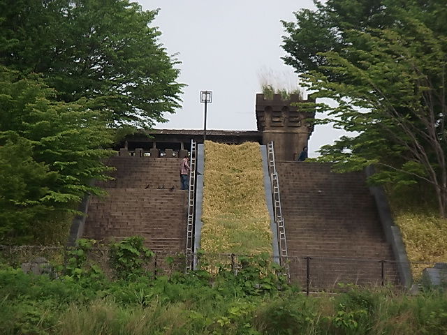 イメージ 6
