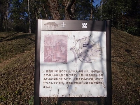 DSCN3174