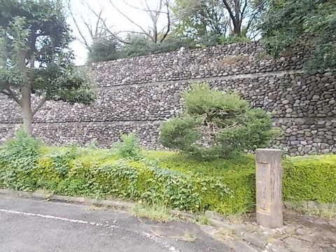 DSCN6559