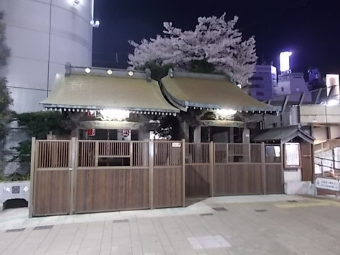 DSCN8547