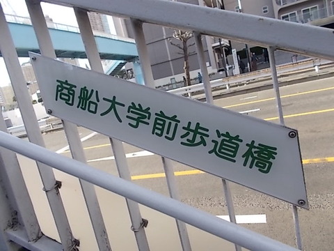 DSCN2252