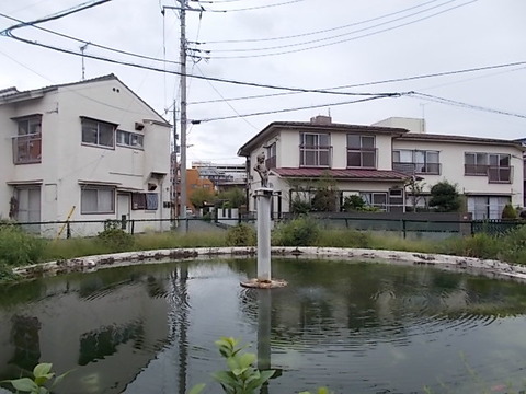 DSCN6630