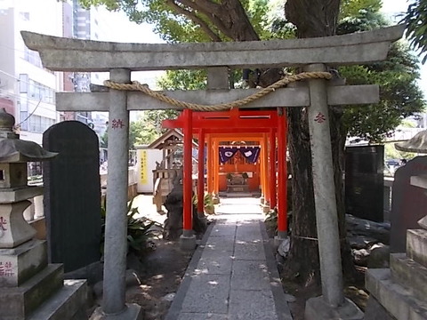 DSCN5838