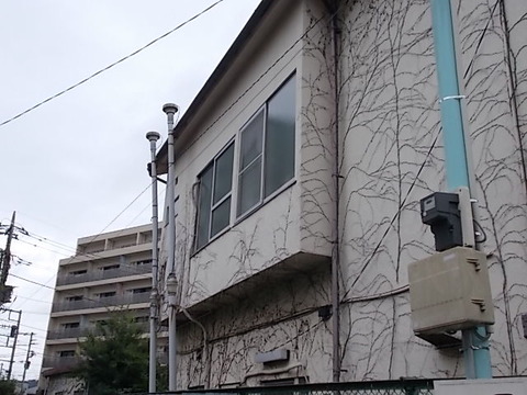 DSCN6637