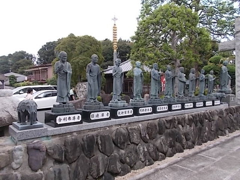 DSCN6579