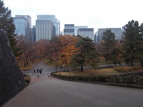 DSCN1768