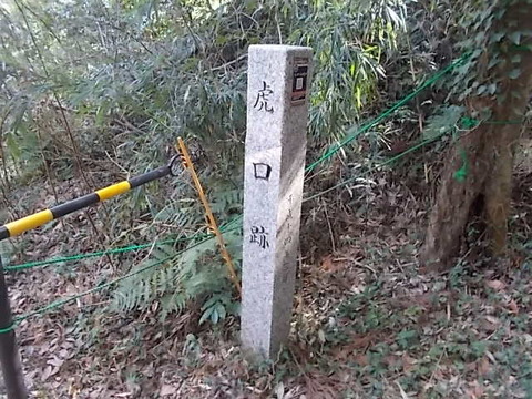 DSCN3053