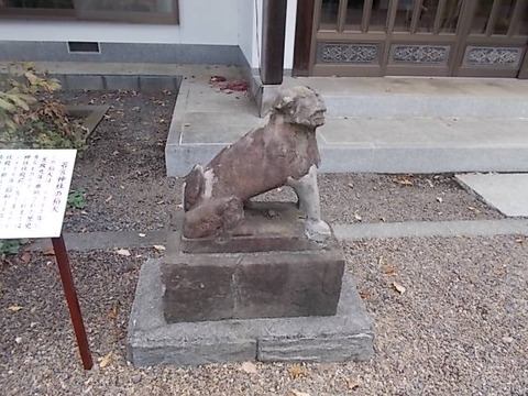 DSCN6599