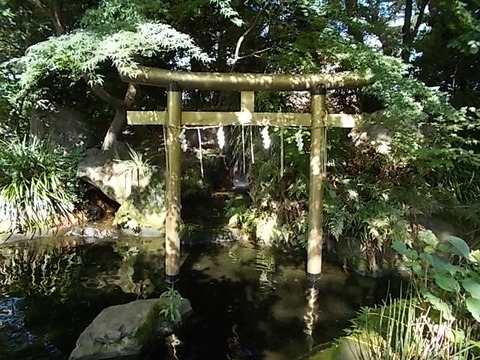 DSCN3085