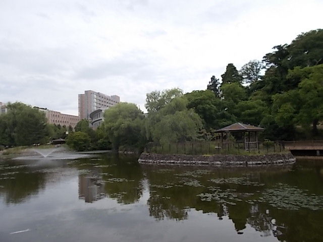イメージ 4