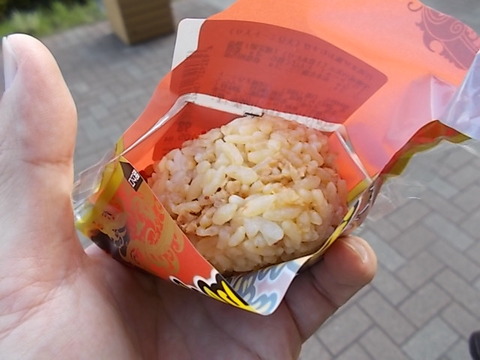 DSCN2955