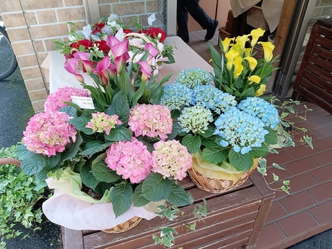 IMG_20250427_093131