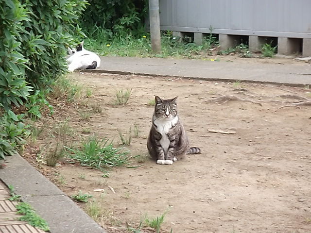 イメージ 2