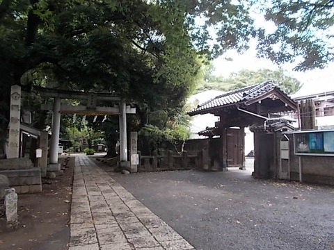DSCN5523