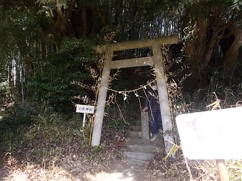 DSCN3105