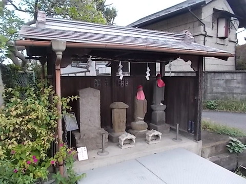 DSCN6708