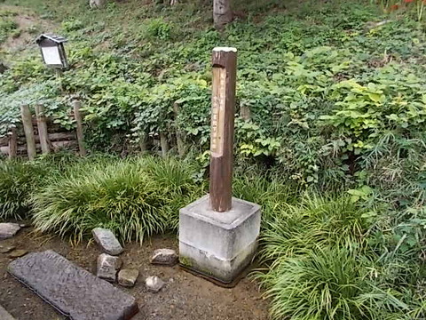 DSCN6623
