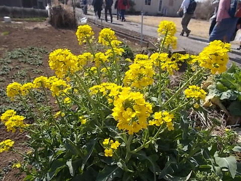 DSCN3121