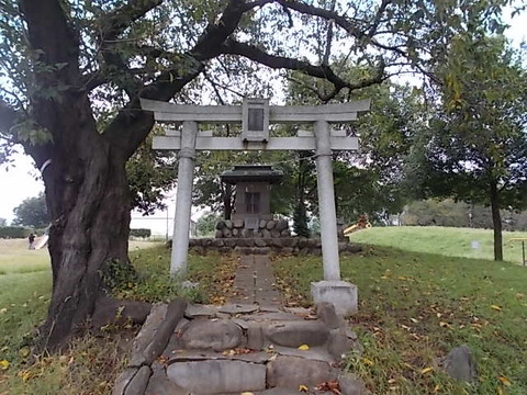 DSCN6686