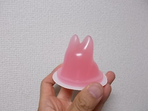 DSCN9318