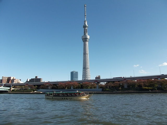 イメージ 4