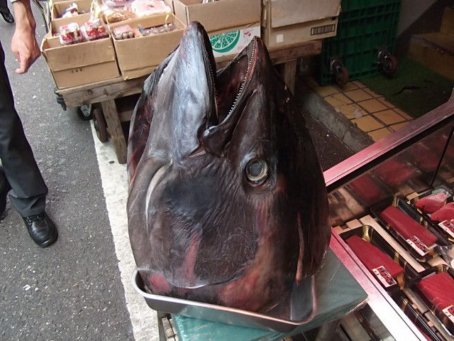 イメージ 2