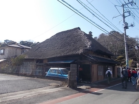 DSCN3138