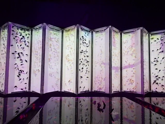 イメージ 11