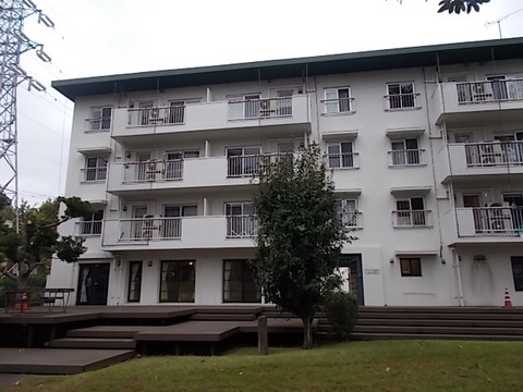 DSCN6649