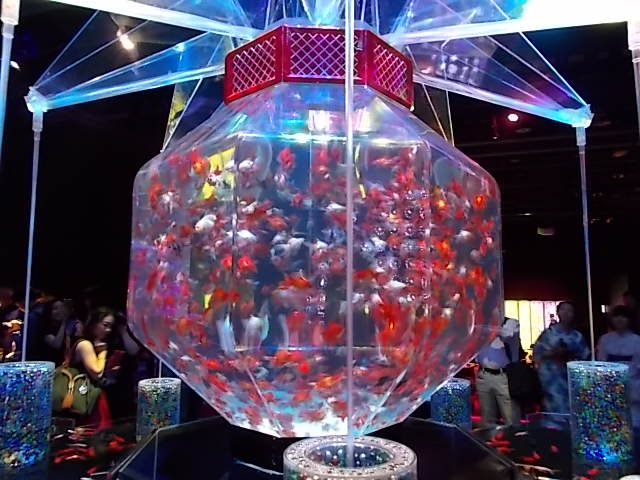 イメージ 8