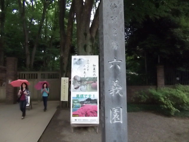 イメージ 7