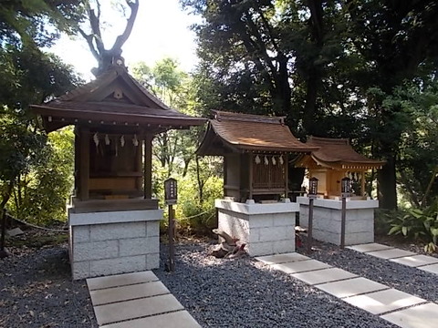 DSCN3083