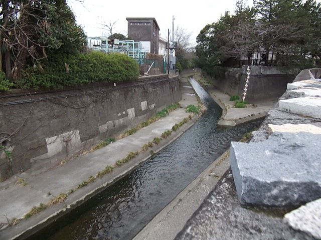 イメージ 5