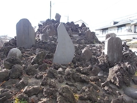 DSCN2225