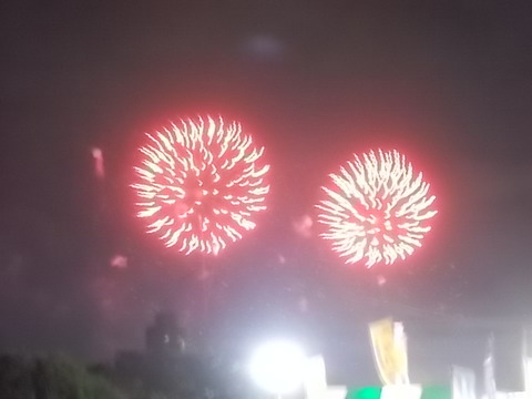 DSCN6115