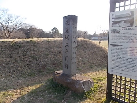 DSCN3208