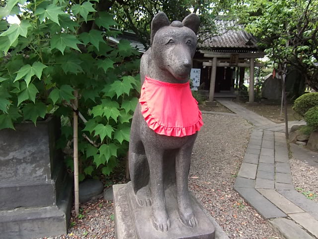 イメージ 5