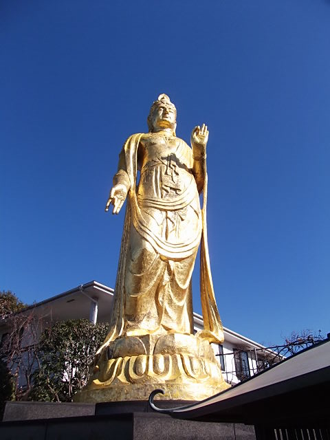 イメージ 7